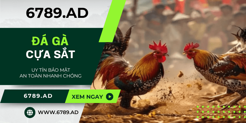 Khám phá đá gà cựa sắt - Điểm mạnh, chiến thuật và lưu ý