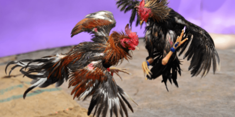 Lợi ích của game tại 6789.ad mà game thủ cần biết