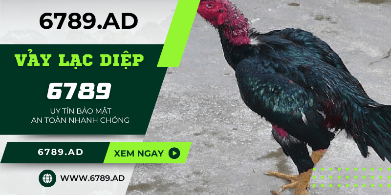 Vảy lạc diệp là gì? 4 cách nhận biết vảy lạc diệp đúng chuẩn