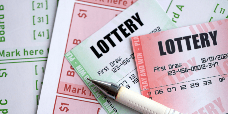 Bật mí cách nuôi dàn đề 36 số mới hiệu quả 