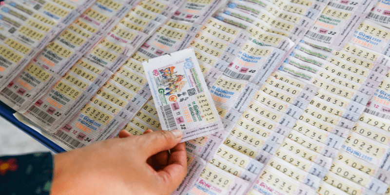 Nuôi dàn đề 36 đem đến cơ hội trúng lớn