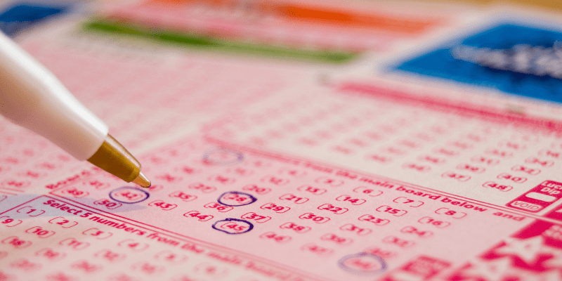 Khi nuôi dàn đề 36 số cần lưu ý những gì?