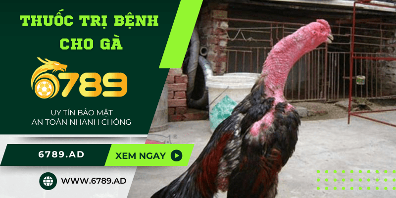 TOP 3 loại thuốc trị bệnh cho gà hiệu quả cao