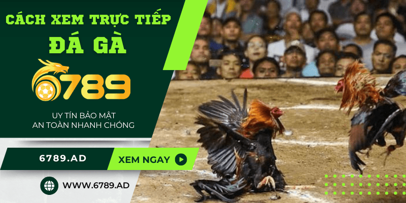 Cách xem trực tiếp đá gà uy tín, chất lượng tại 6789.ad