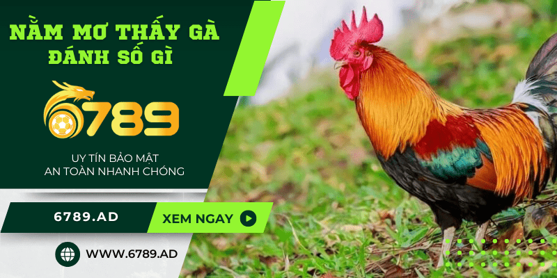 Giải mã về chiêm bao nằm mơ thấy gà và đánh số gì may mắn